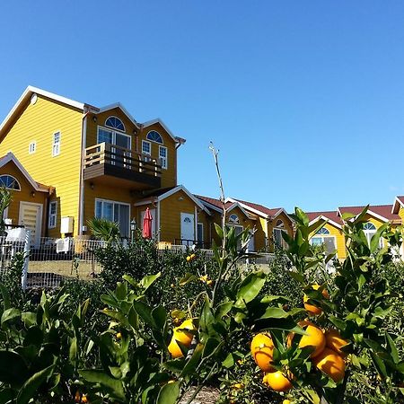 Healing House Villa Seogwipo Exterior photo