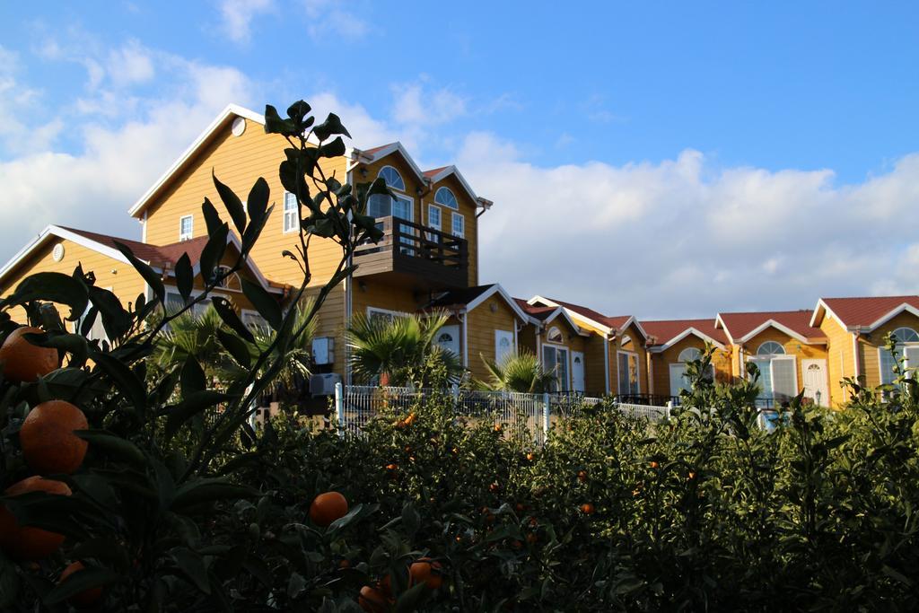 Healing House Villa Seogwipo Exterior photo